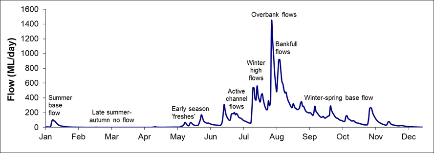 Representative hydrograph showing different components of the flow regime