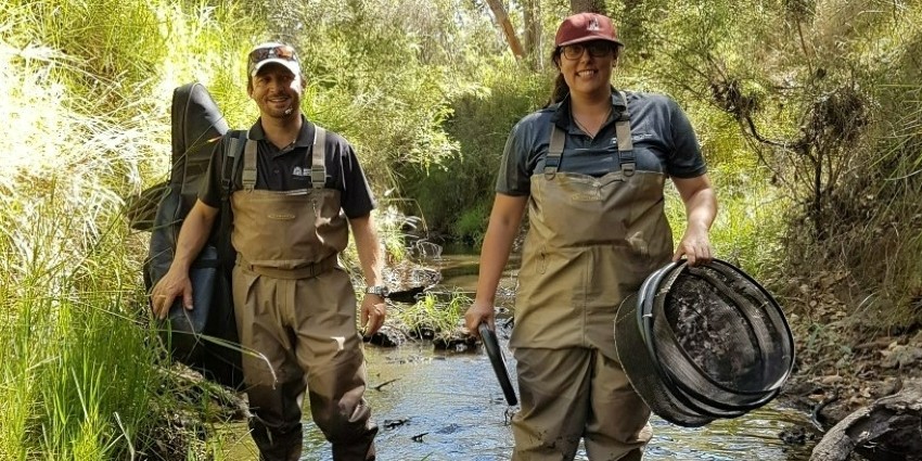 Photo of DWER staff conducting river monitoring